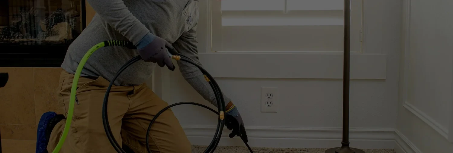 main slideshow image